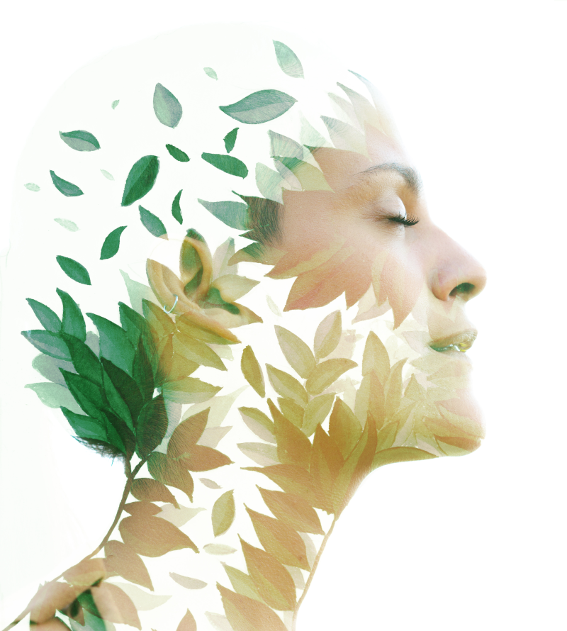 Sustainability image features an artistic model blending into leaves