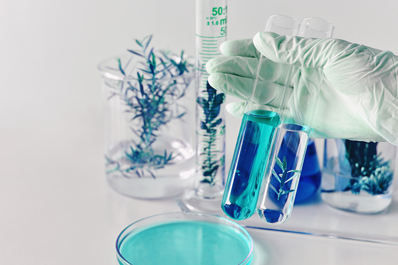 What Is Natural Skin Care